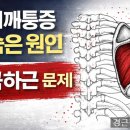 어깨통증의 숨은 원인, 극하근(Infraspinatus) 외회전 기능과 임상적 중요성 이미지