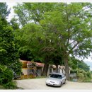 삼남초등학교 이미지