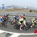 강진허브 이미지