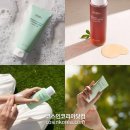 그린트 이미지