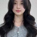 하마헤어 네이버블로그