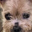 케이코야 이미지