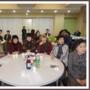 강신성일 카카오 검색결과