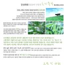 여름목장 이미지