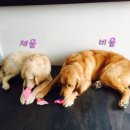 비울채울 이미지