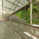 남정초등학교후문 이미지