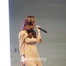송인라이프
