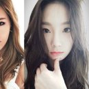 임정희헤어 세계일보