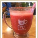 코야커피 이미지