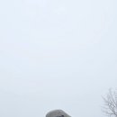 광덕산3로 이미지