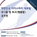 대한아이스하키협회