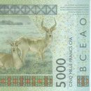 서나라농장 이미지