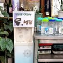 마당정육
