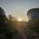 가락시장 수산시장 먹부림｜7만원어치 전복치·쥐치·보리숭어 초장집 내돈내산 후기