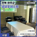 댕댕포레스트 이미지