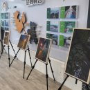 고운작은도서관 이미지