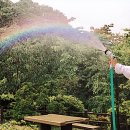 서로사랑하는도서관 이미지