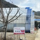 대림4농장 이미지