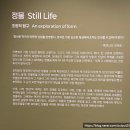 서초구장애인단체총연합회 | 페르난도 보테로전(예술의 전당 한가람 미술관) 관람 후기, 유의사항, 도슨트 일정, 주차 등 총정리