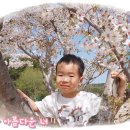 숲속꿈의유치원 이미지