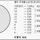 볼링공 파운드별 종류 이미지