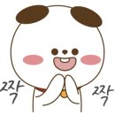 다올마트 이미지