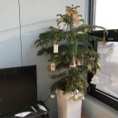 아마이펜션 이미지