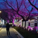 수안보온천길 이미지