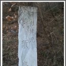 용두정