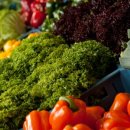 등대식품 이미지