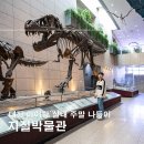지질자원연구원 지질박물관 | 대전 지질박물관 실내 무료 주말 나들이 갈만한 곳