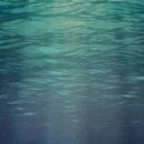 (주)어뮤즈