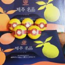 방가네농장 이미지