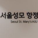 서울성모항정유외과의원 이미지