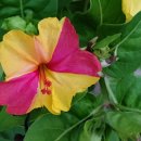 네일아트 테라피A 이미지