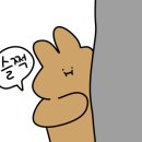 정글러댄스스튜디오
