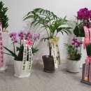 화원경희의원 이미지