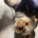 모어오아시스 이미지