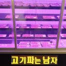 고기파는남자 - 북구 호국로39길 2 | 고기파는남자