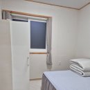 삼정펜션 | [2025 DMZ 페스티벌] 2일차 후기/지오펜션/삼정콩마을가마솥두부집 후기