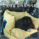 스윗테일 이미지