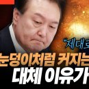 조국혁신당. 눈덩이처럼 커지는 이유? 이미지