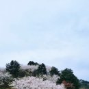 구조라위판장 | 거제가볼만한곳 구조라유람선 선착장 근처 숙소 머물다항리 &amp; 샛바람소리길