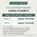 바로국제여행사