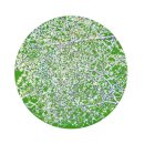 청주대학교 일반대학원 이미지