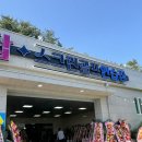 힐탑골프연습장 | 울산 대형 스크린골프연습장 “ 힐탑스크린골프연습장 ” 프로선수레슨 후기 오픈이벤트도 하고 있어요