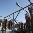 외포초교 뒤 이미지