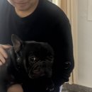 낯가림 민박 이미지