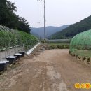 단국대학교 정책경영대학원 Daum카페