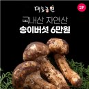 대도농원